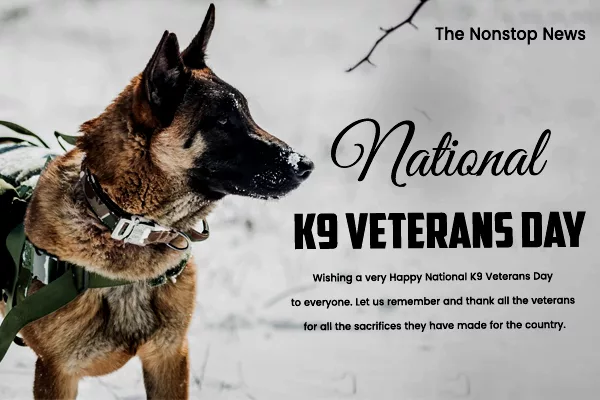 K9 Veterans Day 2024 Quotes, Images, Messages, Slogans, Posters, Banners, and Captions To Create Awareness