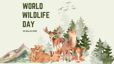 World Wildlife Day 2024: Current Theme, Quotes, Slogans, Images, Messages, Posters, Banners, Captions, and Cliparts