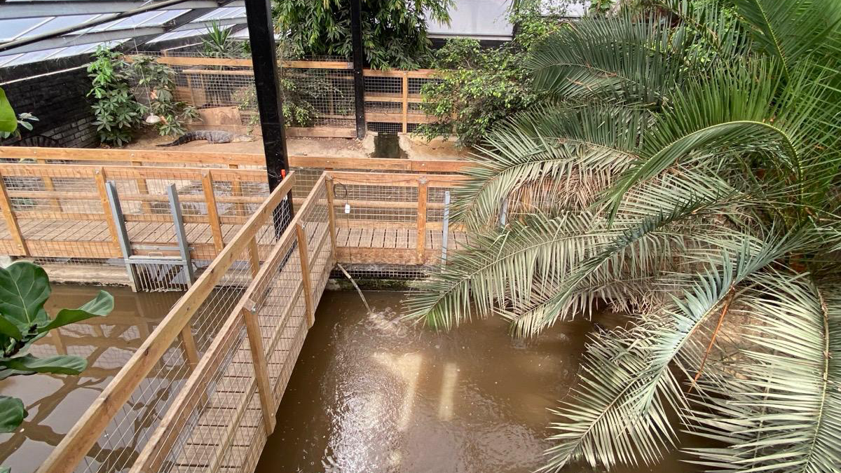 Latest News image related to Probe after staff accessed crocodile attack boy records