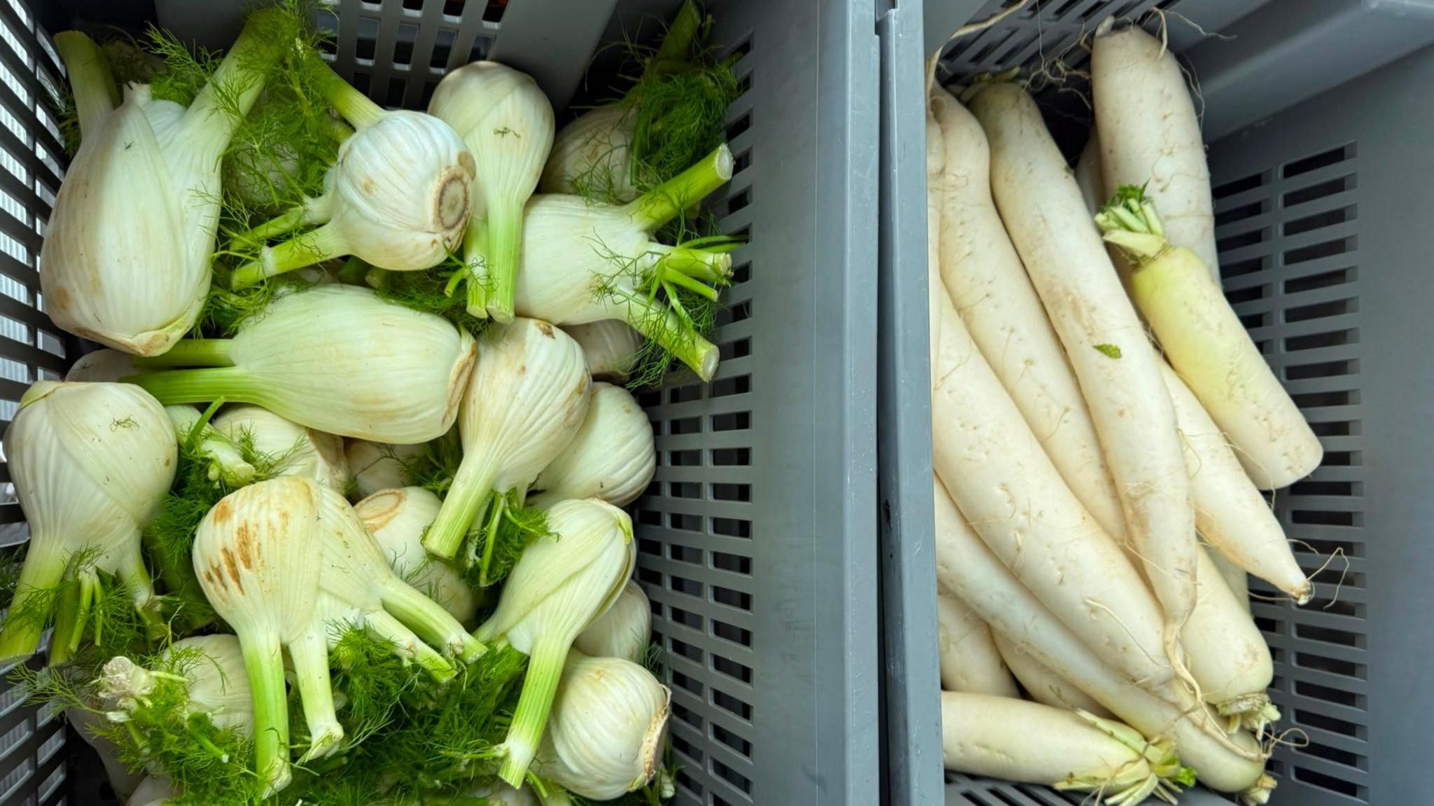 Business image related to Volunteers race to save surplus food at Silverstone