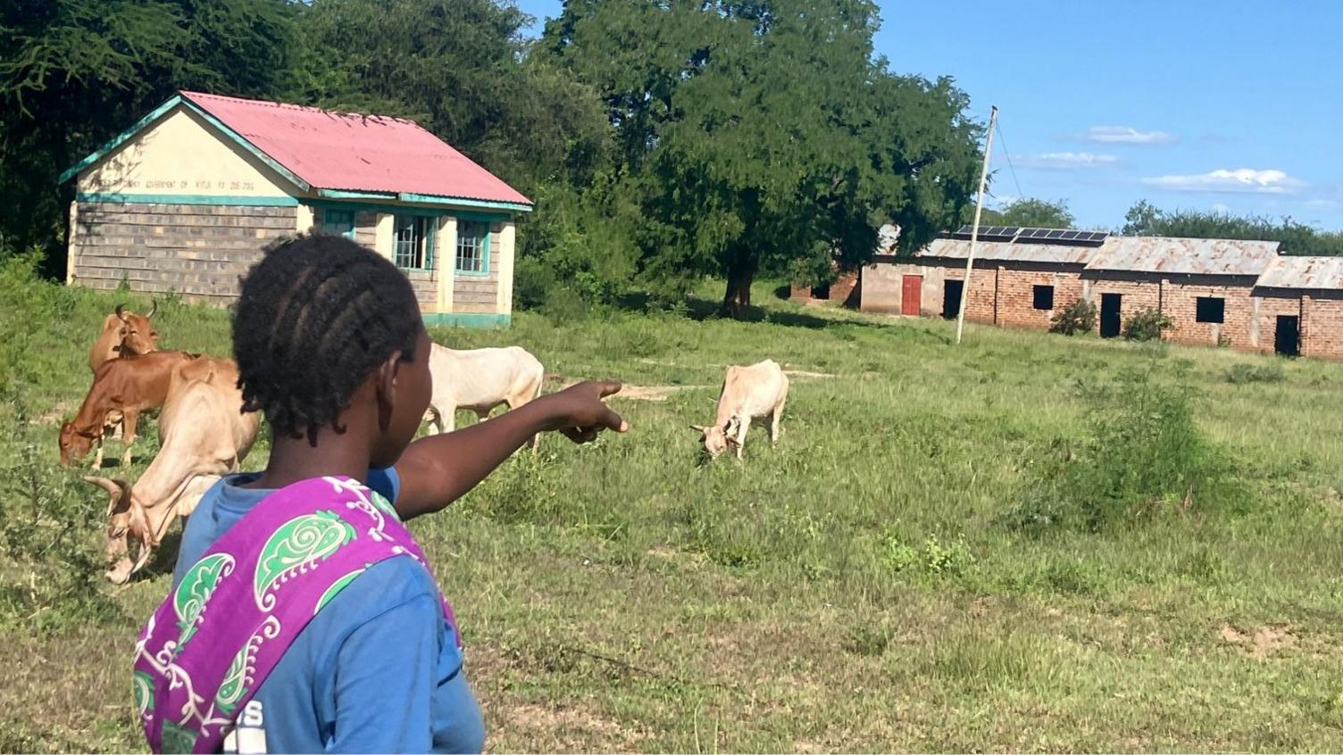 World image related to Mass school closures in Kenya: over 2,000 rural primary schools at risk