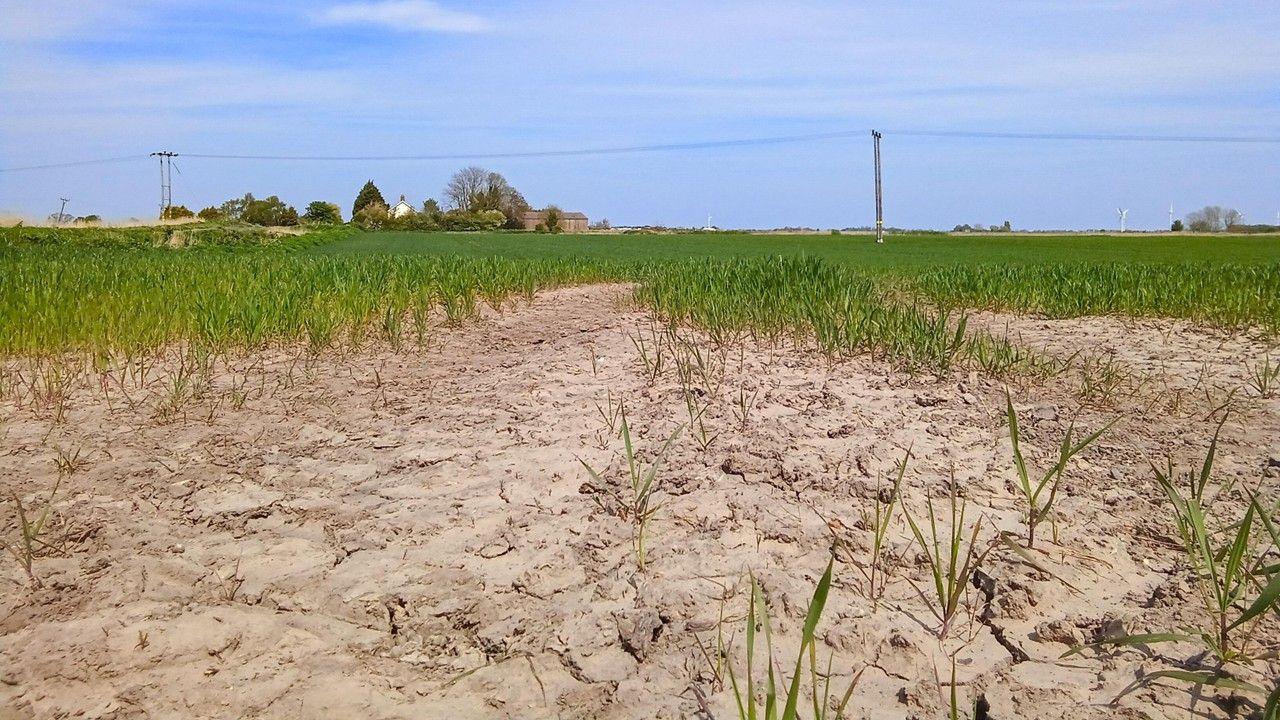 Latest News image related to Is the UK facing drought for a second summer?