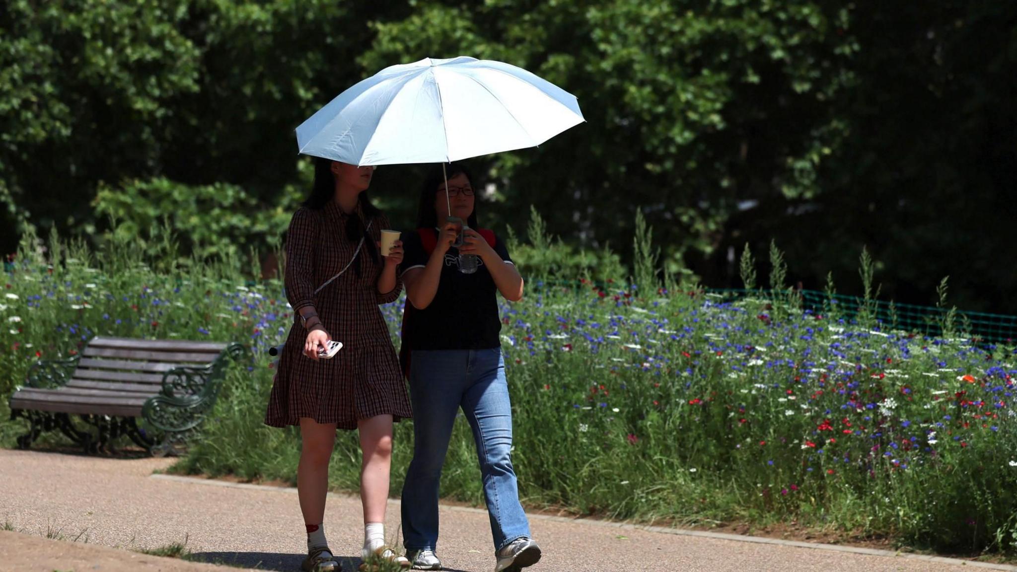 Latest News image related to UK heatwave to push temperatures past 30C, BBC warns