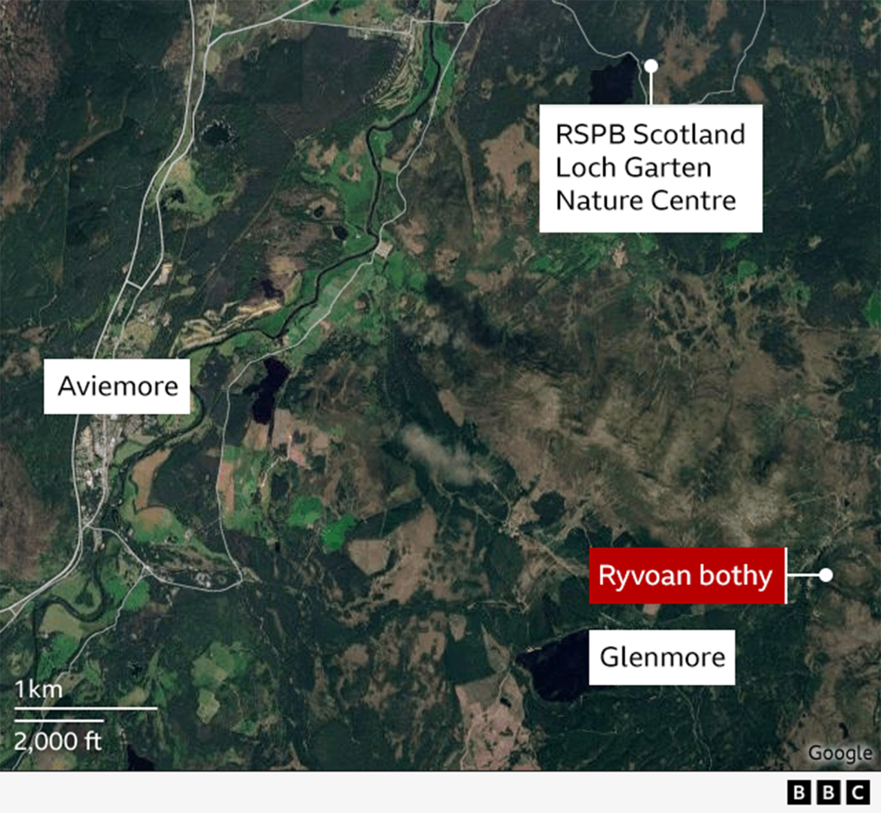 Latest News image related to Wildfire still burning across four miles in Cairngorms