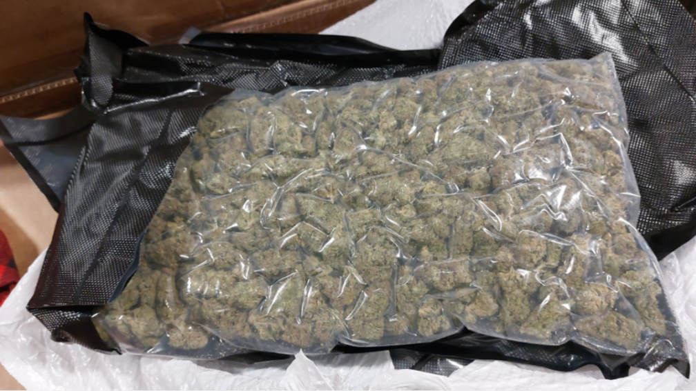 Latest News image related to Drug mules cannabis Thailand face tougher penalties